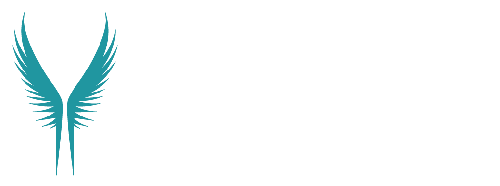 Valkyrie Orbit Navigation, LLC